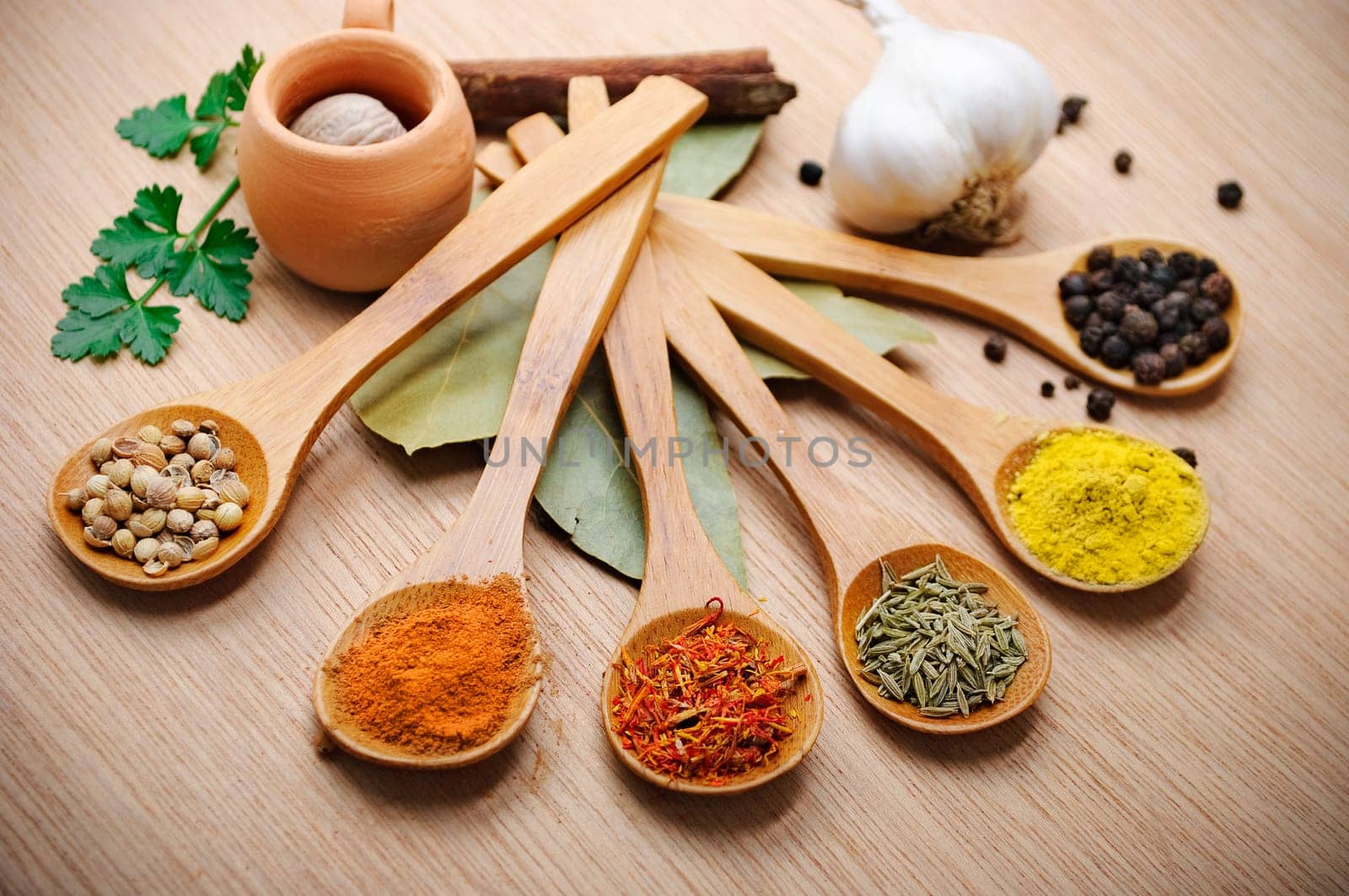 Various of spices in wooden spoon