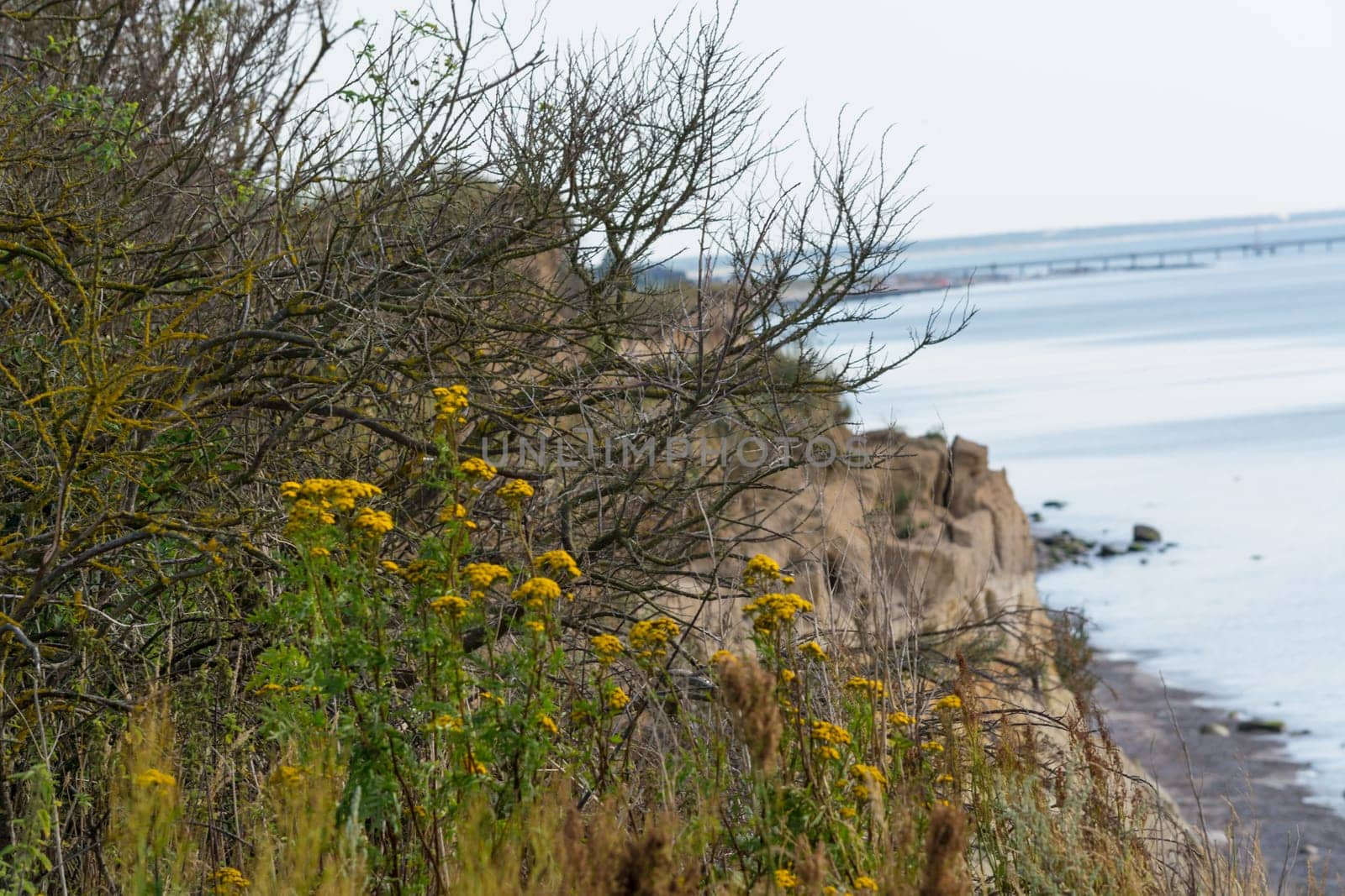 Steep coast on the Baltic Sea near Ahrenshoop