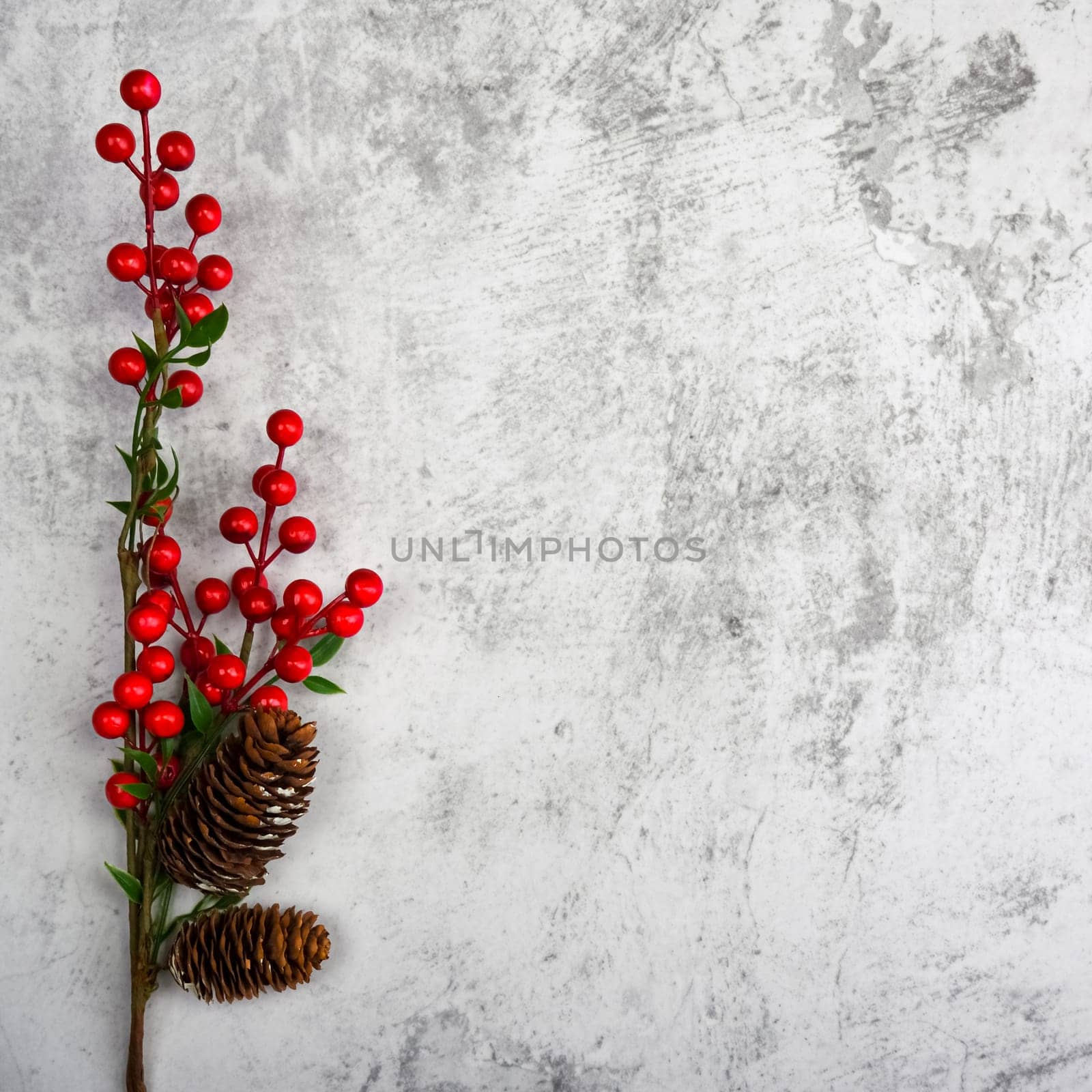 Background a branch with berries and cones on a textured plastered wall. For product demonstrations, free space, layout, mockup, perspective board, background board.