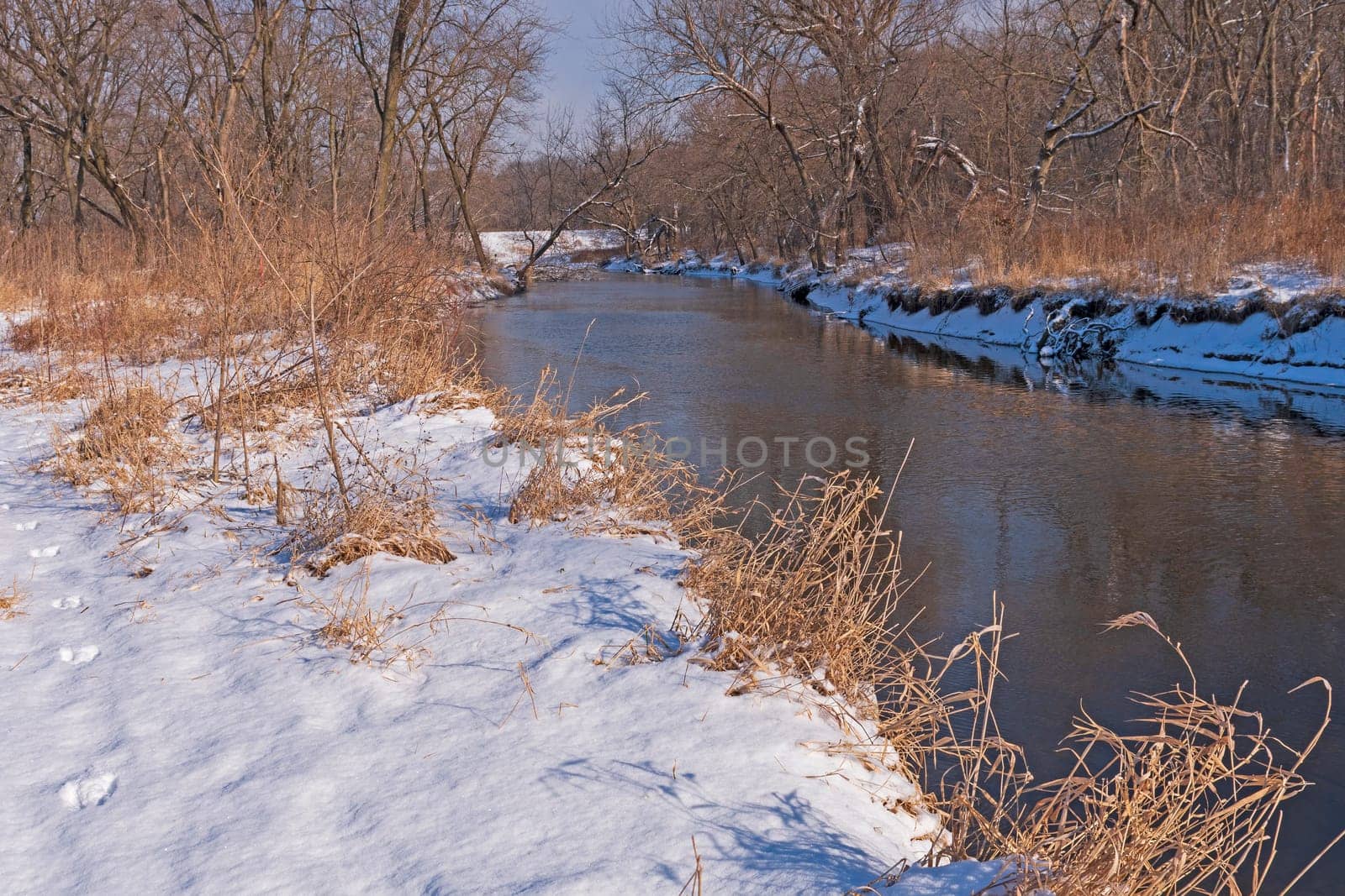 Quiet Stream in the Winter Woods in Ned Brown Preserve in Illinois