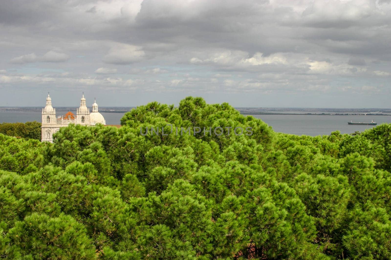 Roofs of Sao Vicente de Fora Monastery and Santa Engracia church with green trees in foreground and heavy clouds above. Lisbon, Portugal