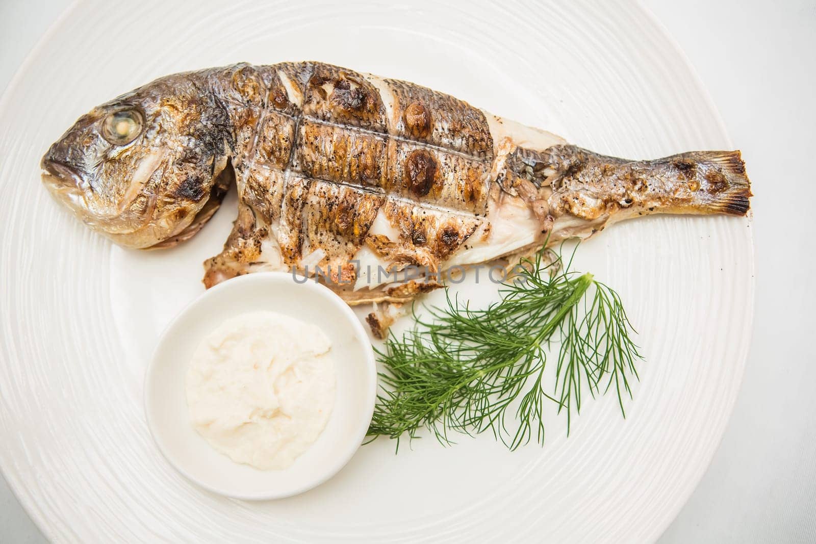 Grilled organic dorada fish white dish. Top view