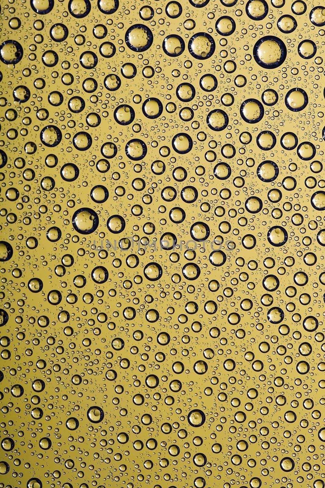 Water drops on glass window