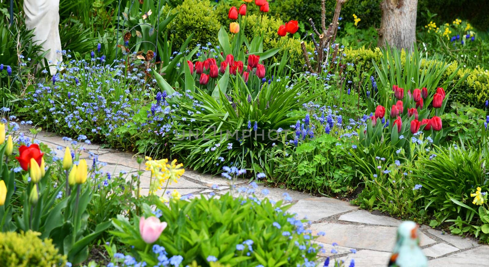 colorful flower garden