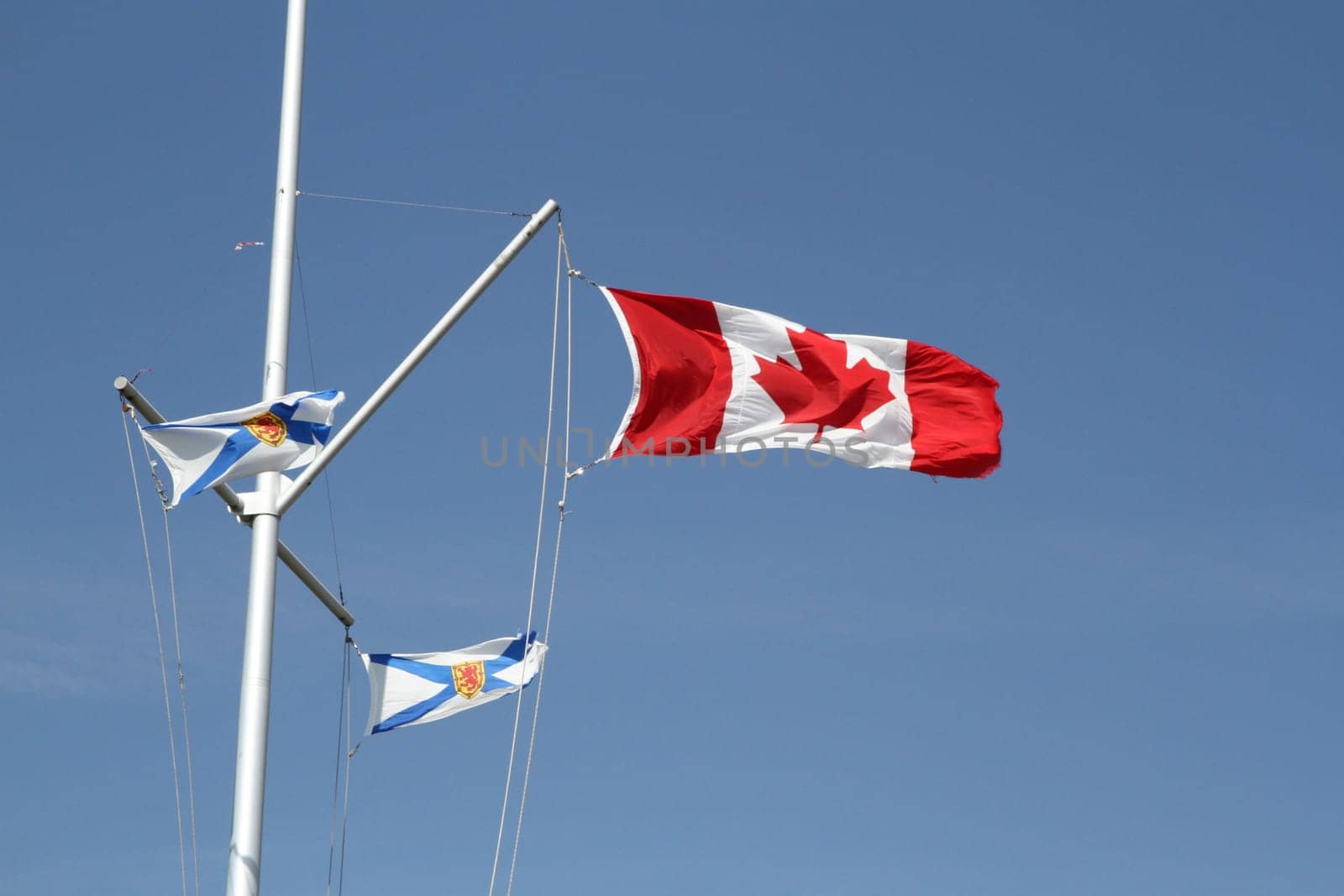 Canadian maple leaf flag blowing in the wind against a blue sky