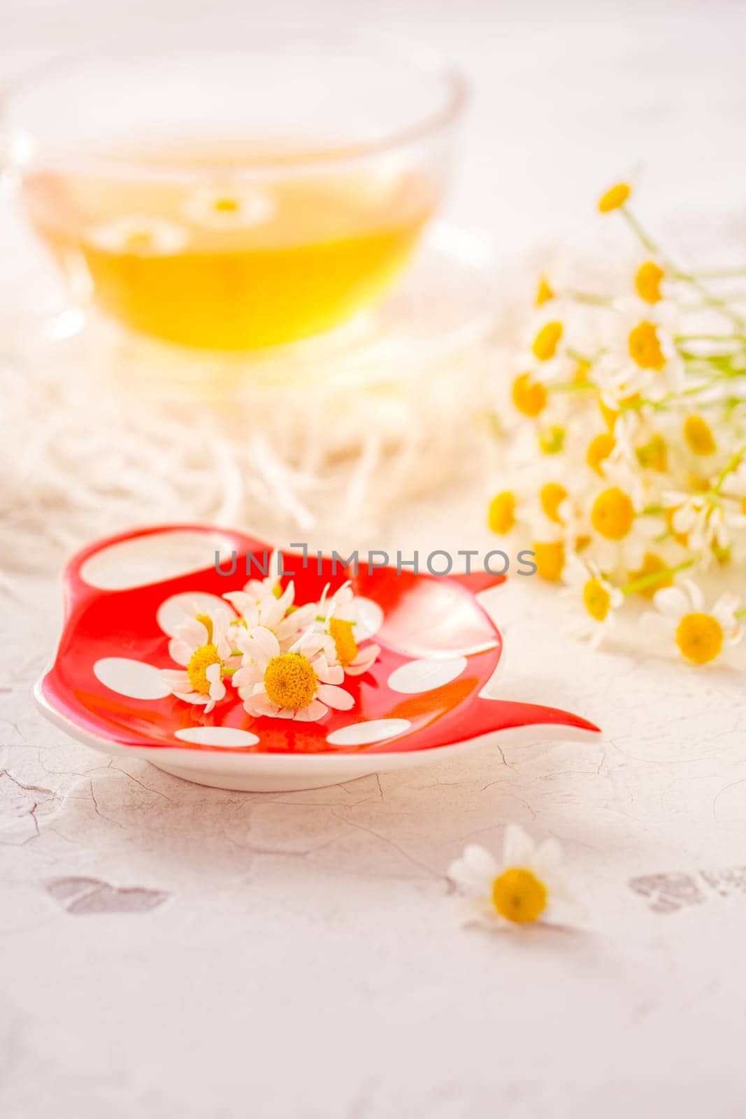 Chamomile herbal tea (Matricaria chamomilla) on kitchen table