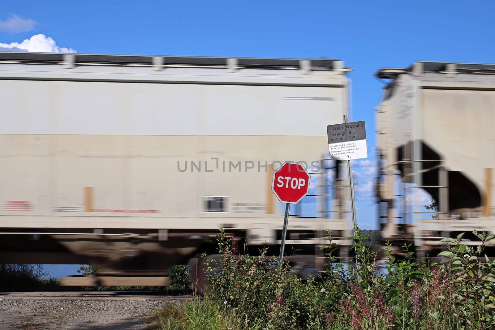 A train speeds past a stop sign at a crossing.