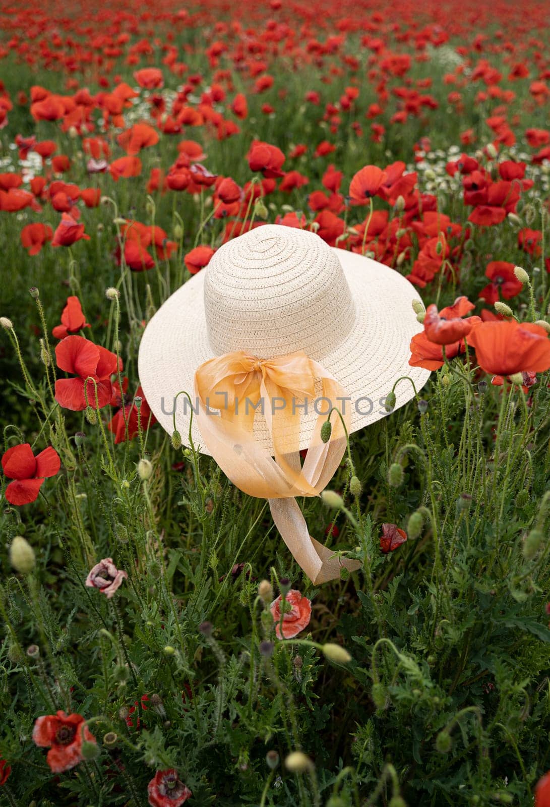 vertical closeup perspective view of woman wicker hat with light colored scarf in field with red poppy flowers