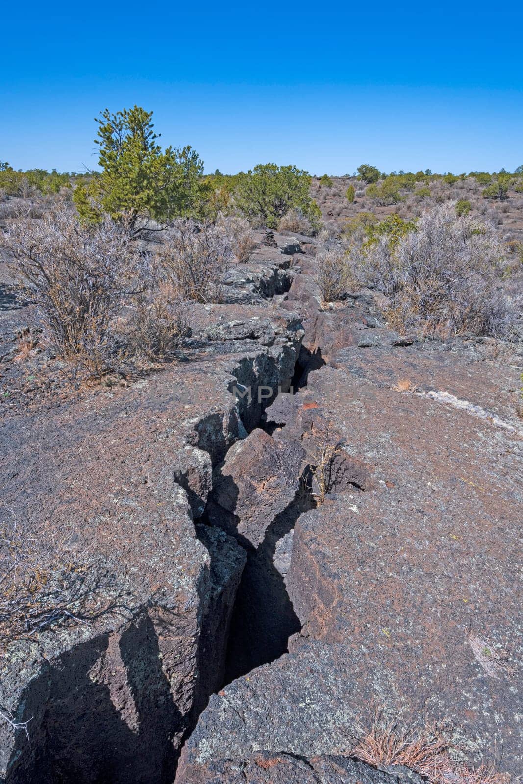 Major Fissure in a Lava Field in El Malpais National Monument in New Mexico
