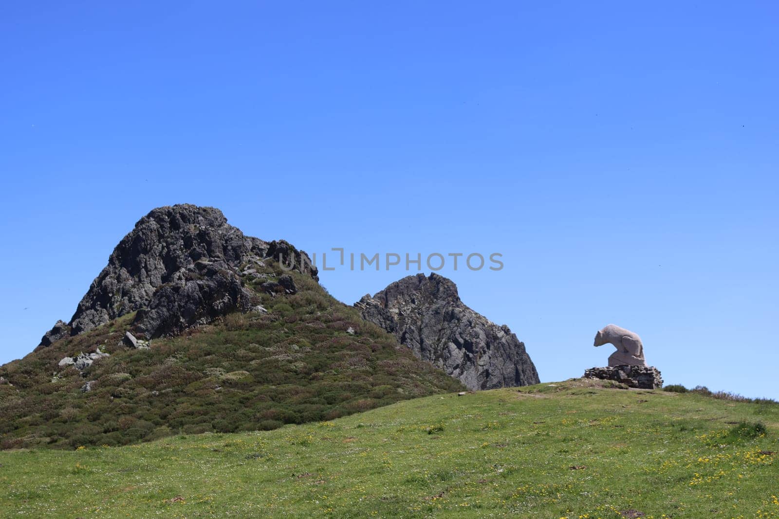 beautiful natural landscape vegetation animals mountains sky