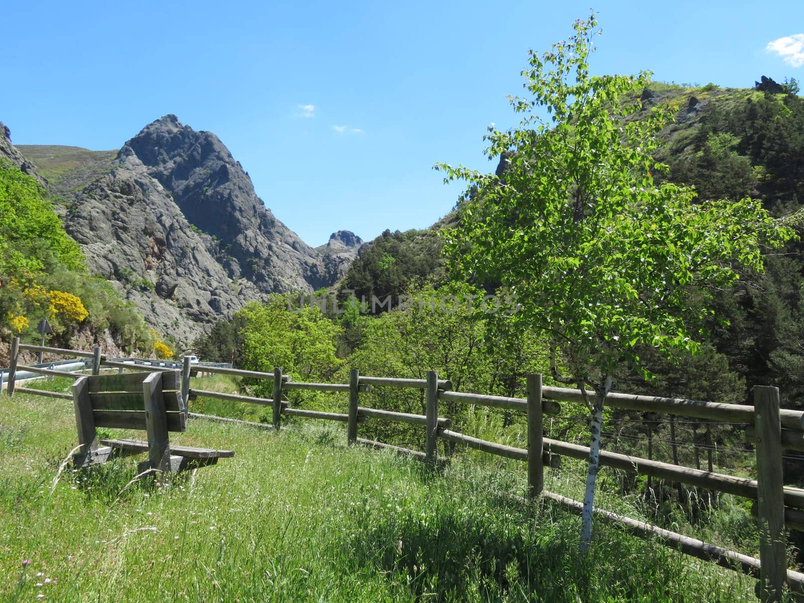 beautiful natural landscape vegetation animals mountains sky