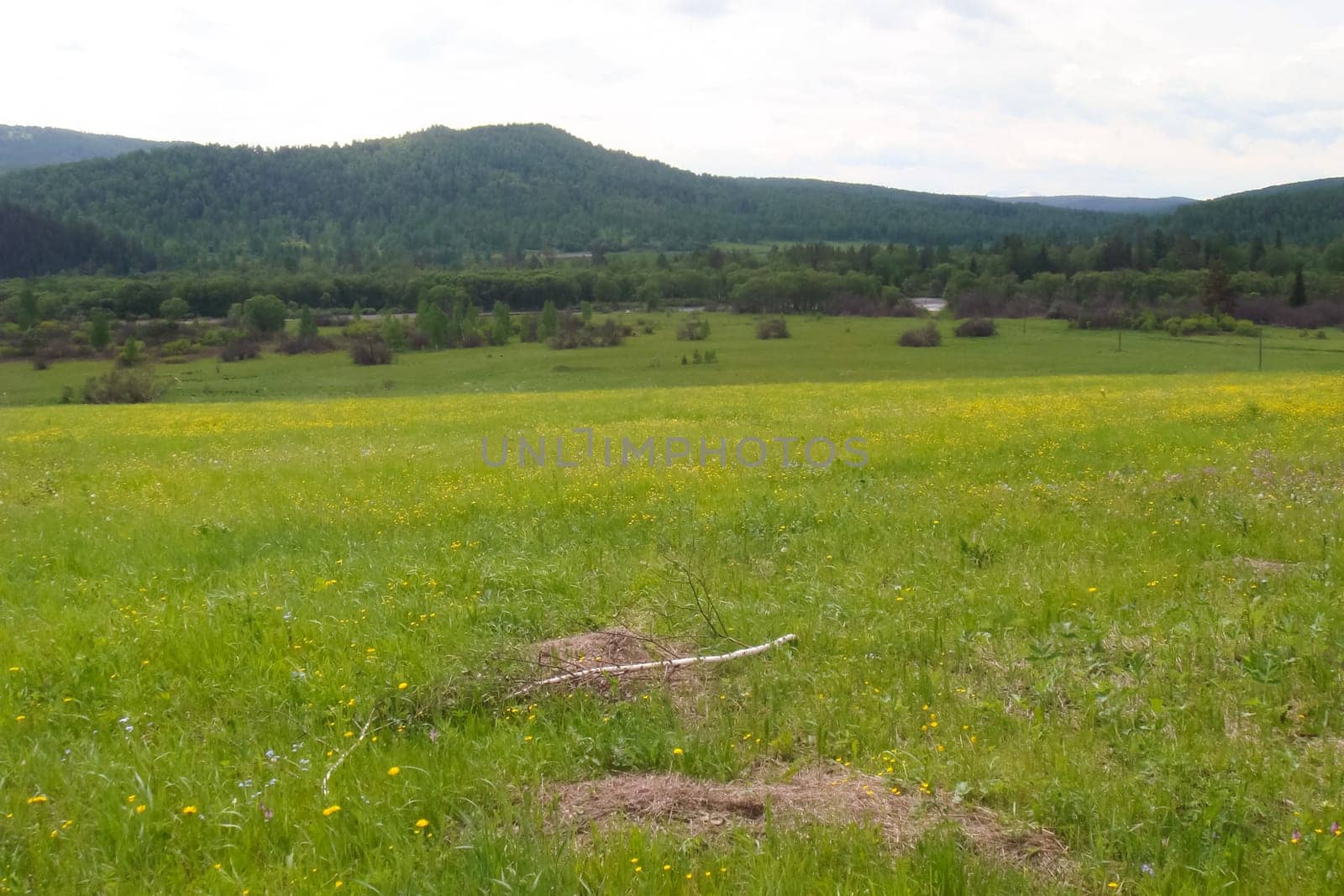 Small Bor tract, Hakkasia. Forests and meadows Khakassia