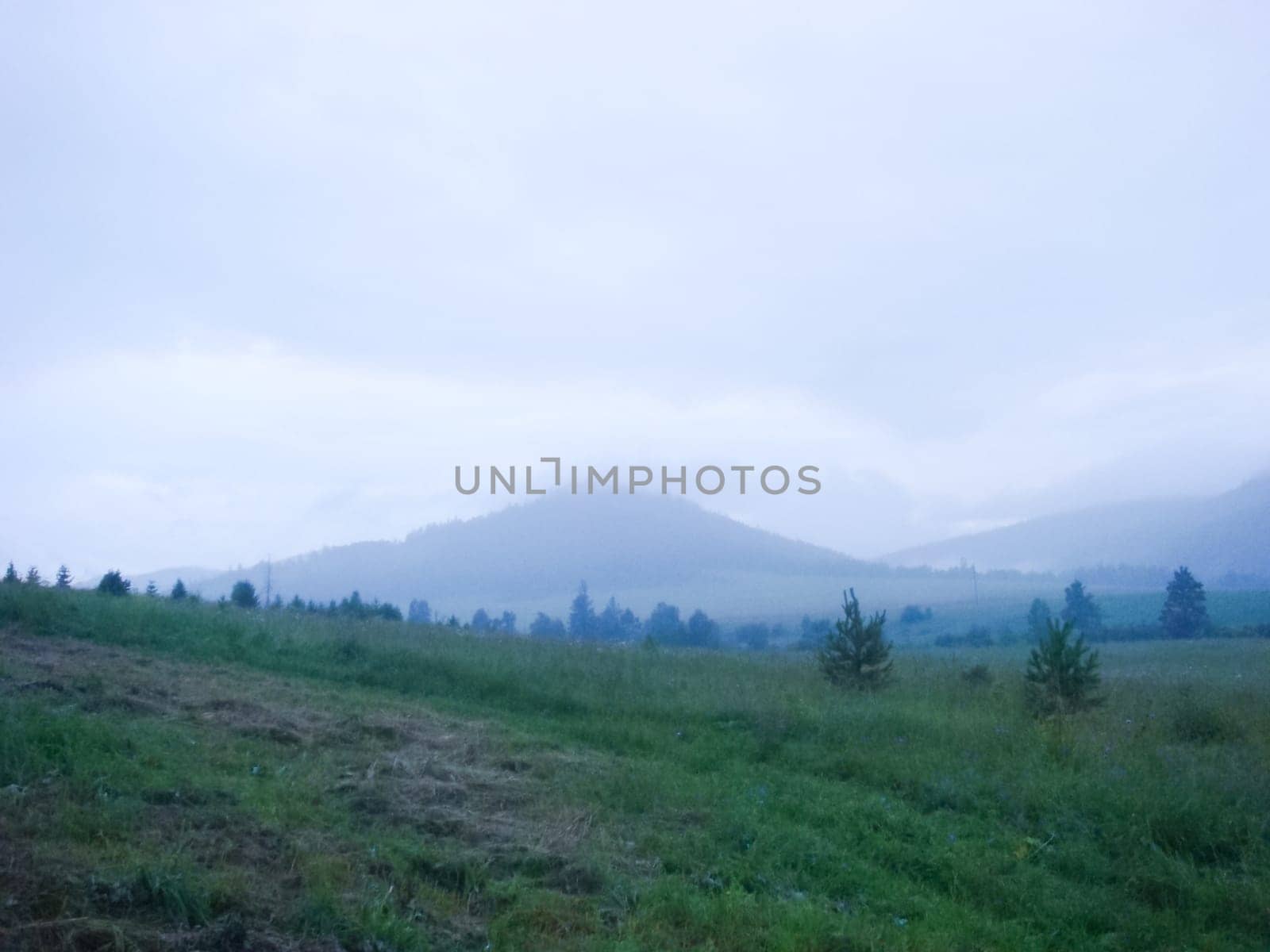 Small Bor tract, Hakkasia. Forests and meadows Khakassia