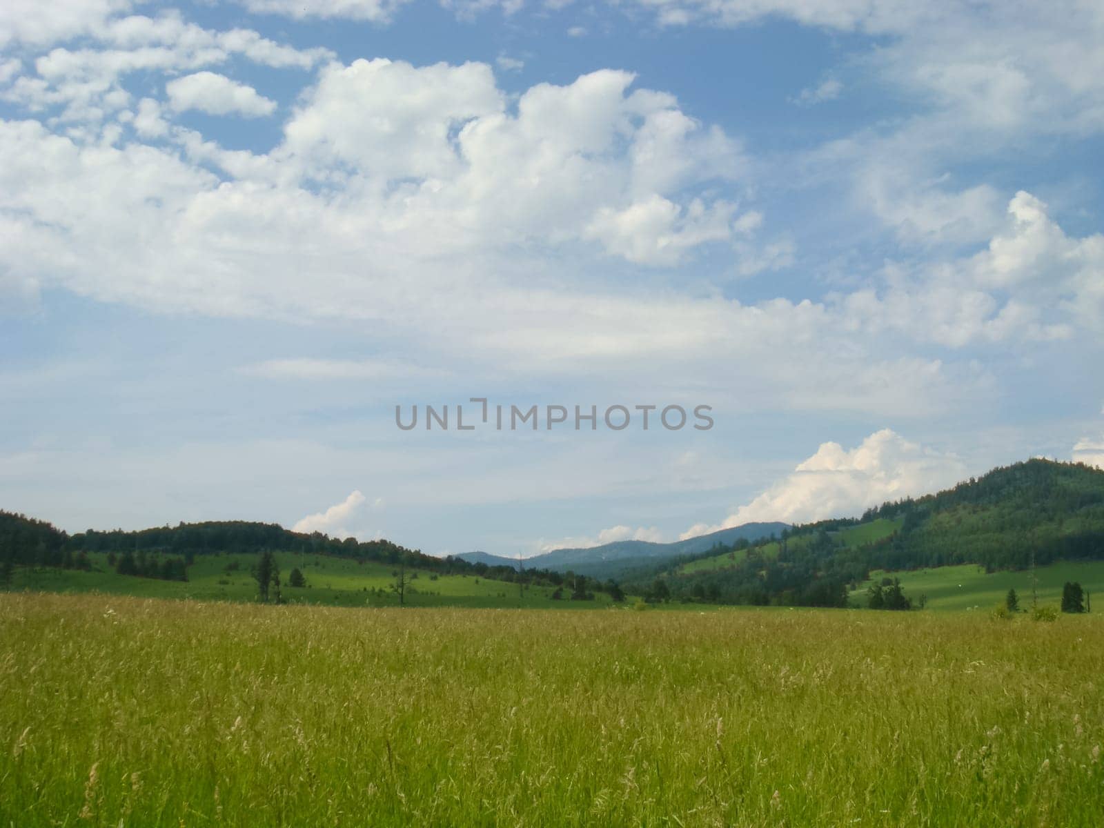Small Bor tract, Hakkasia. Forests and meadows Khakassia