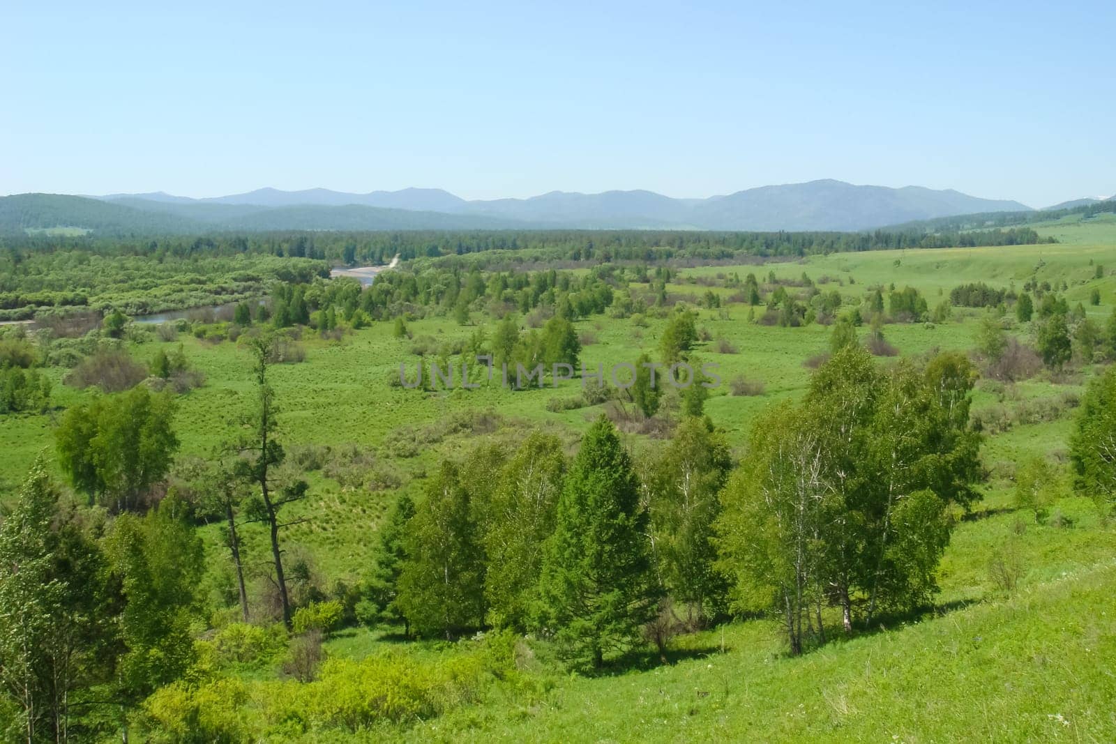 Small Bor tract, Hakkasia. Forests and meadows Khakassia