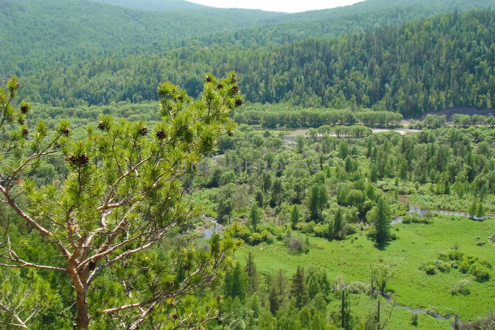 Small Bor tract, Hakkasia. Forests and meadows Khakassia