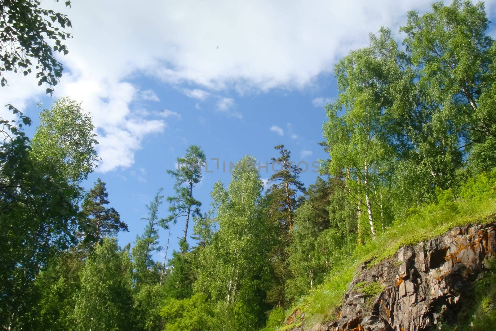 Small Bor tract, Hakkasia. Forests and meadows Khakassia