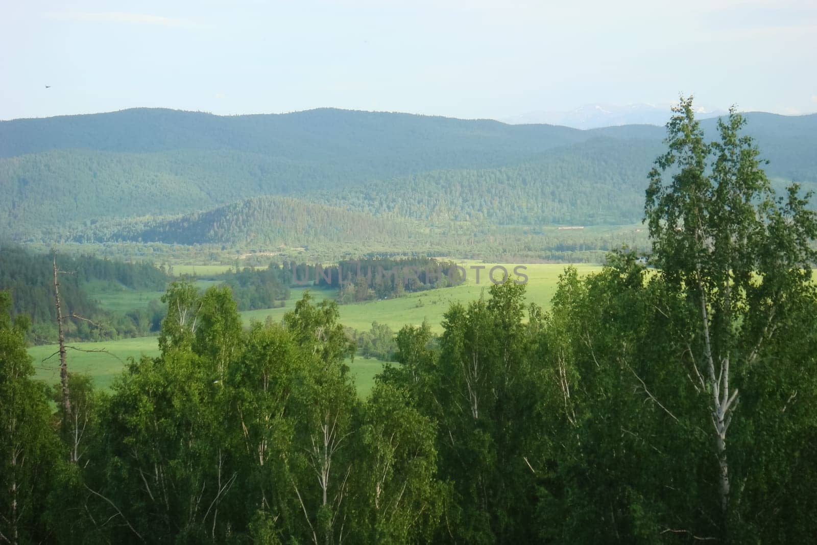 Small Bor tract, Hakkasia. Forests and meadows Khakassia