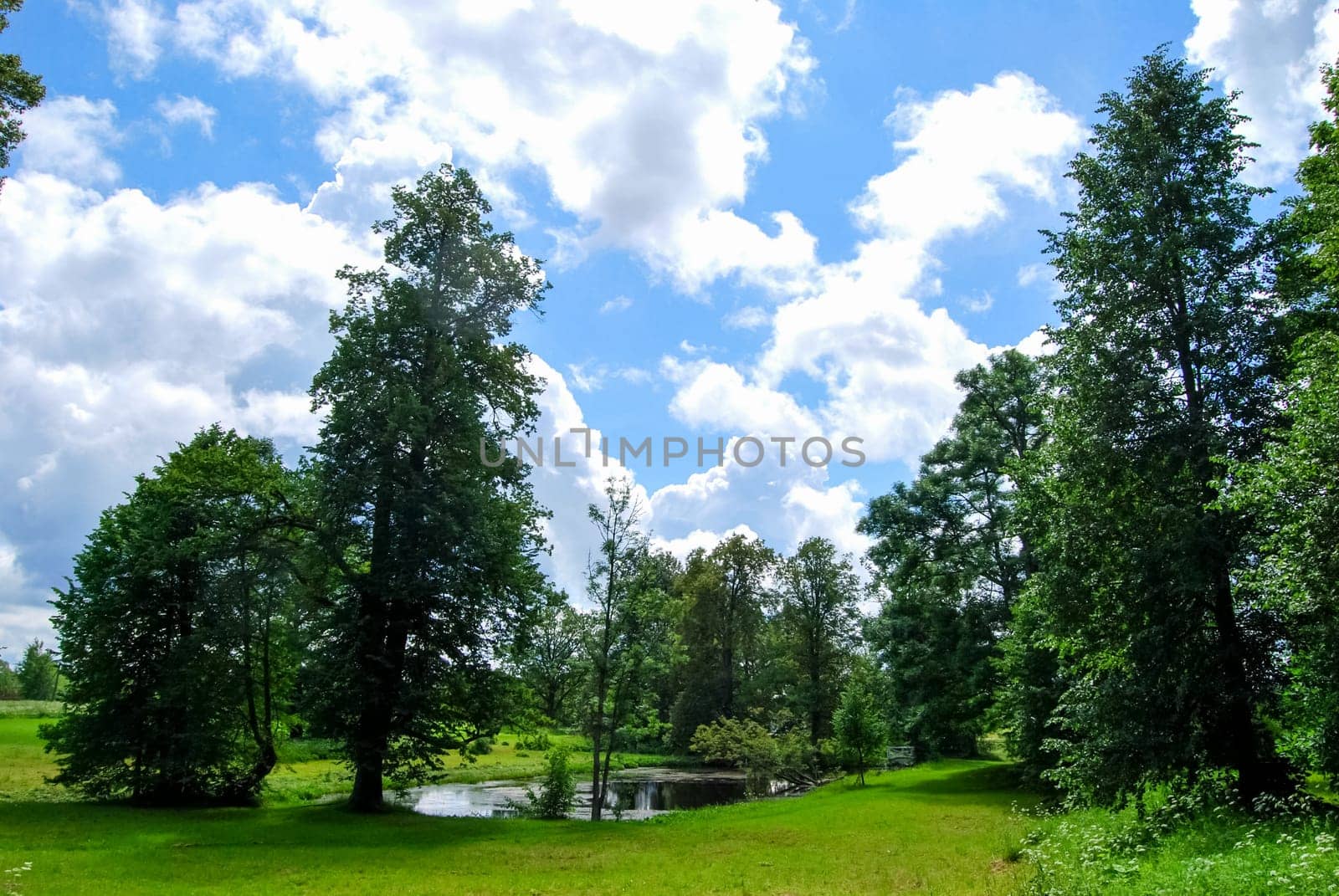 Beautiful well-groomed park, trimmed lawn. reserve HMELITA