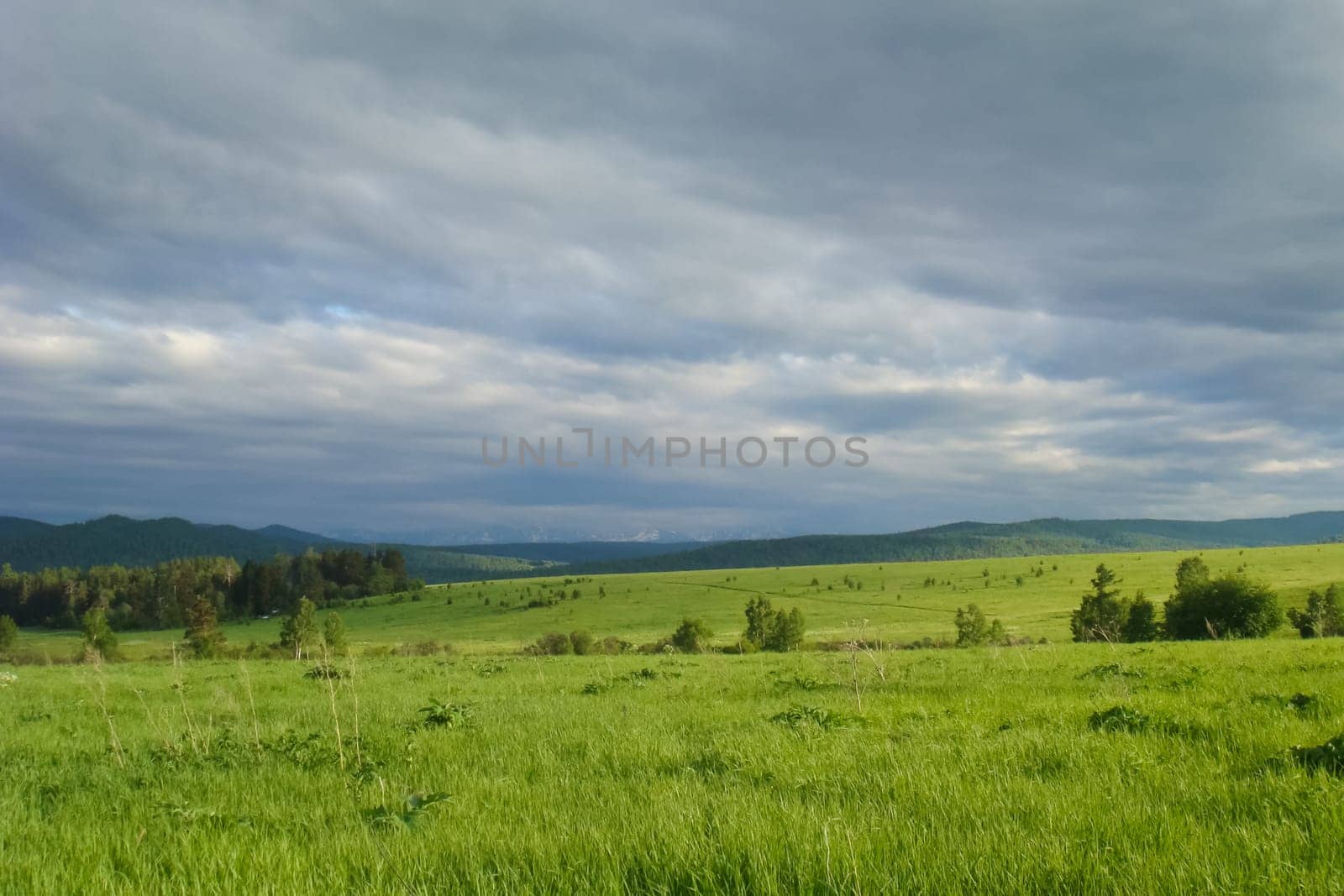 Small Bor tract, Hakkasia. Forests and meadows Khakassia