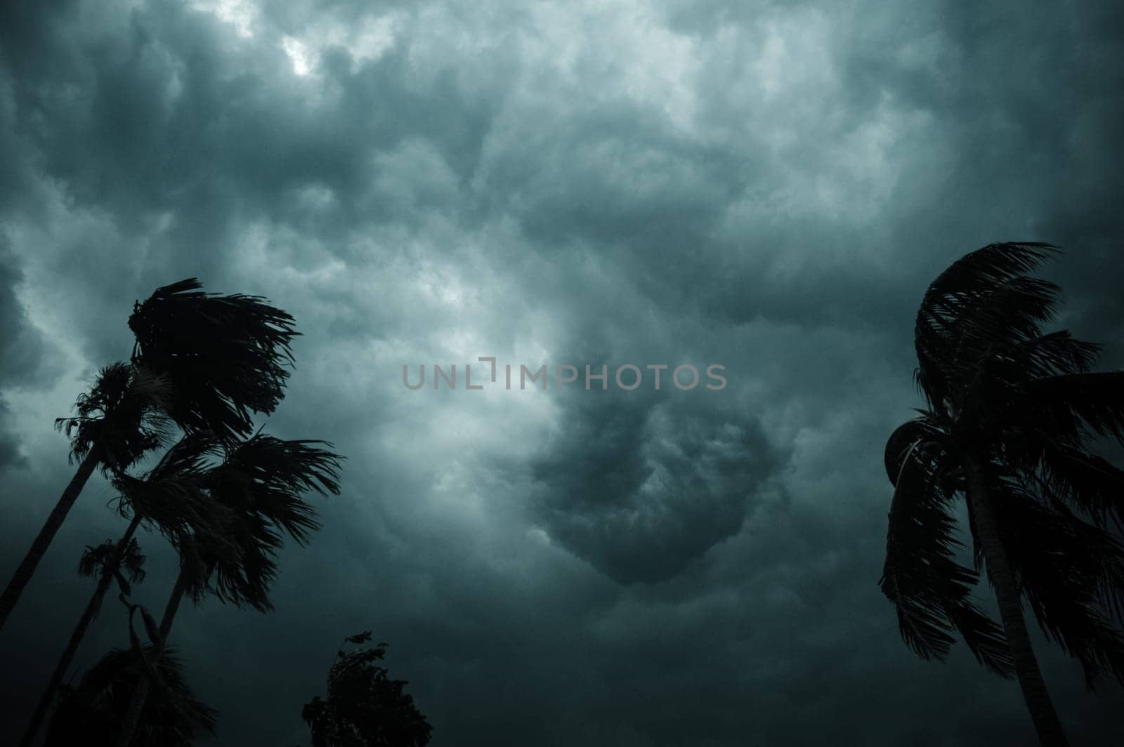 Thick dark black heavy storm clouds covered summer sunset sky horizon. Gale speed wind blowing over blurry coconut palm tree before Norwesters Kalbaishakhi Bordoisila thunderstorm torrential rain.