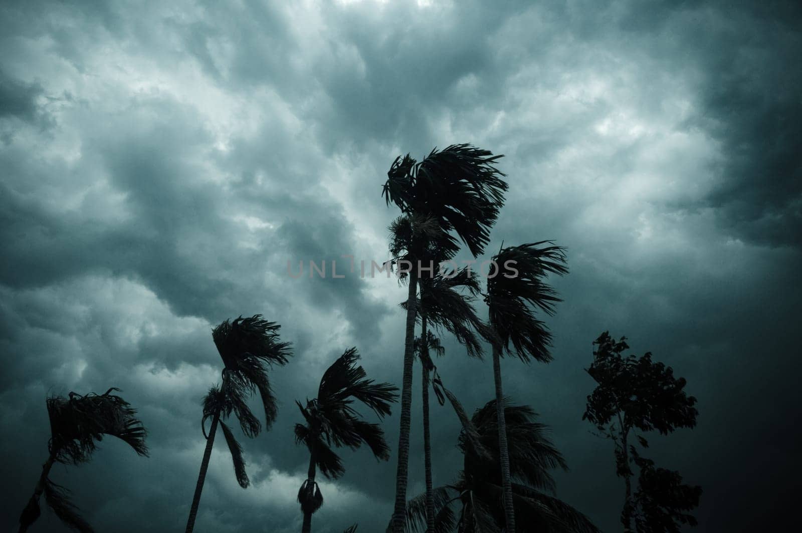 Thick dark black heavy storm clouds covered summer sunset sky horizon. Gale speed wind blowing over blurry coconut palm tree before Norwesters Kalbaishakhi Bordoisila thunderstorm torrential rain.
