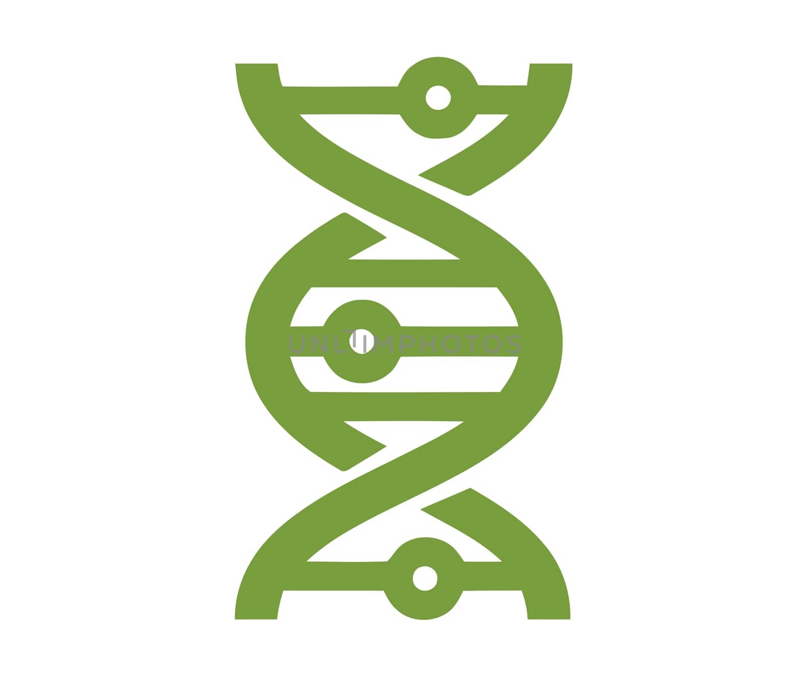 dna gene biology life illustration