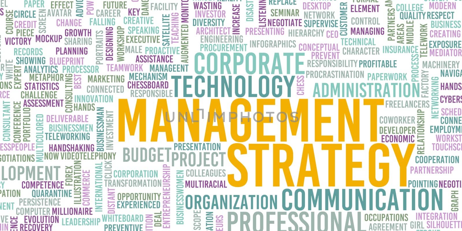 Management Strategy Business Success as a Concept