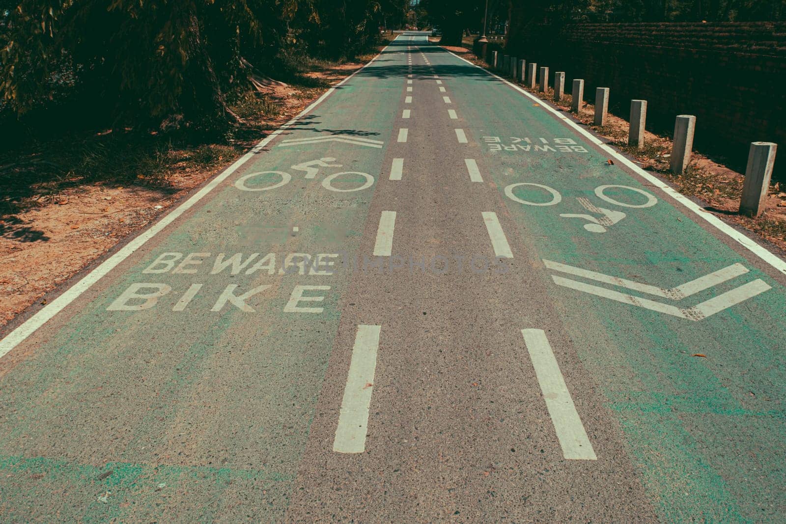 Empty Bike lanes or cycle lanes, bike way with lanes. Symbols cyclists on green road.