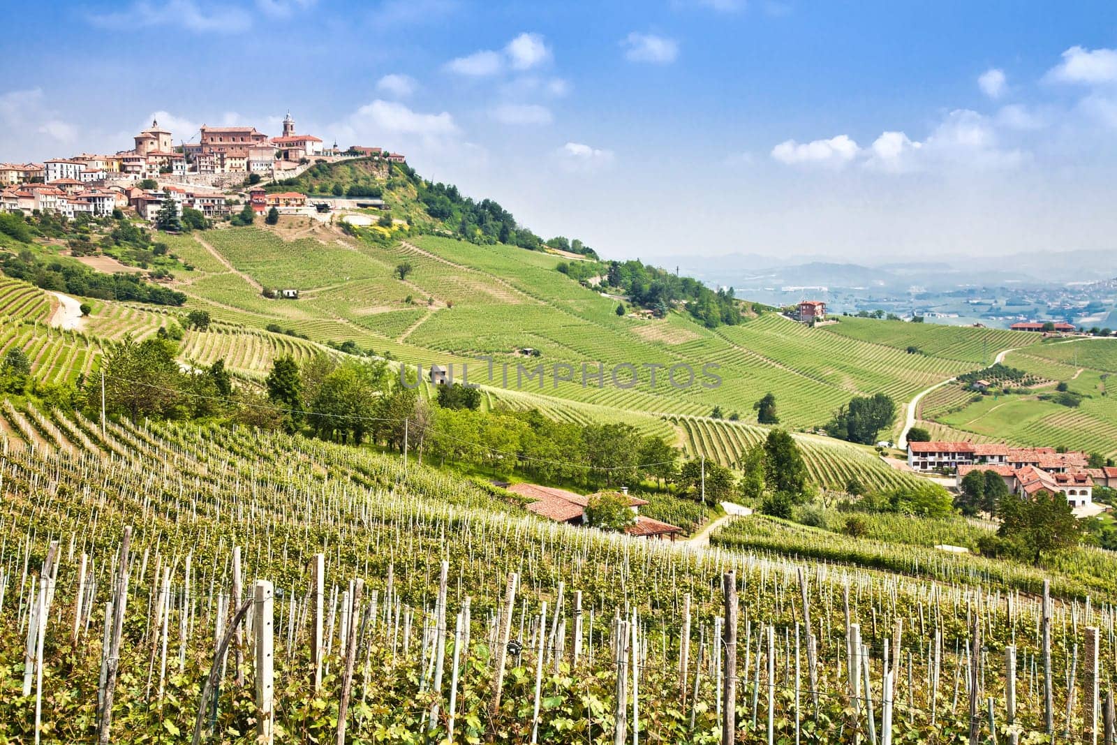 La Morra. Traditional village close to Barolo and Alba, in Piedmont Region, Italy.