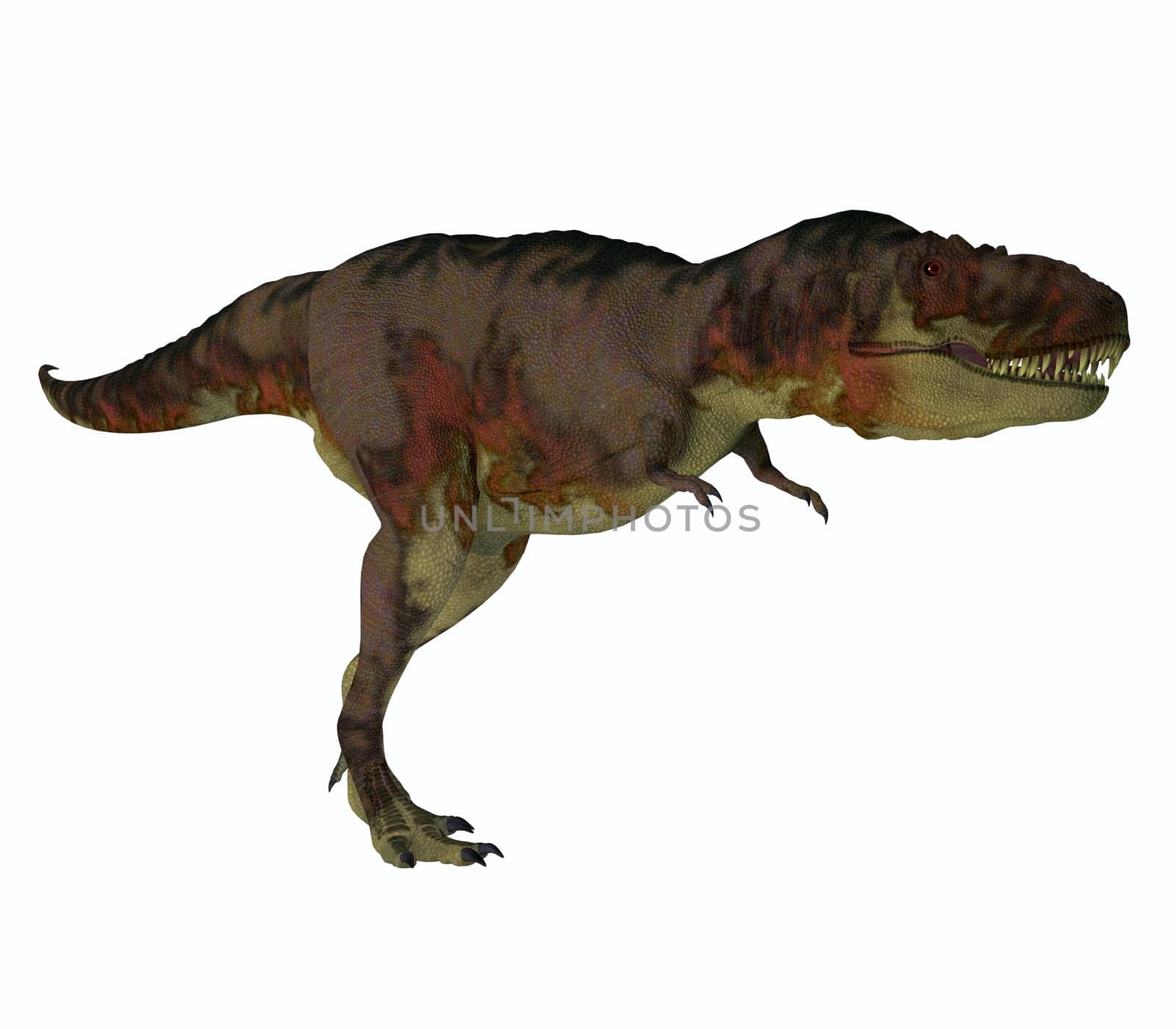 Daspletosaurus was a carnivorous theropod dinosaur that lived in North America during the Cretaceous Period.