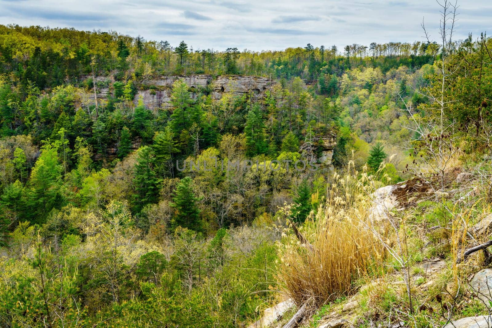 Scenic view of Red River Gorge formations in Kentucky in spring