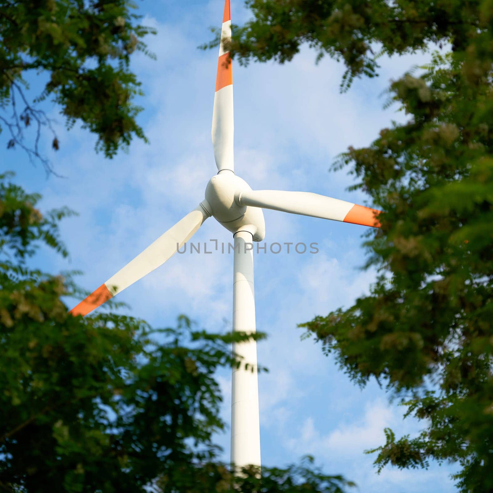 Rotor blades of wind turbine seen through gap between trees