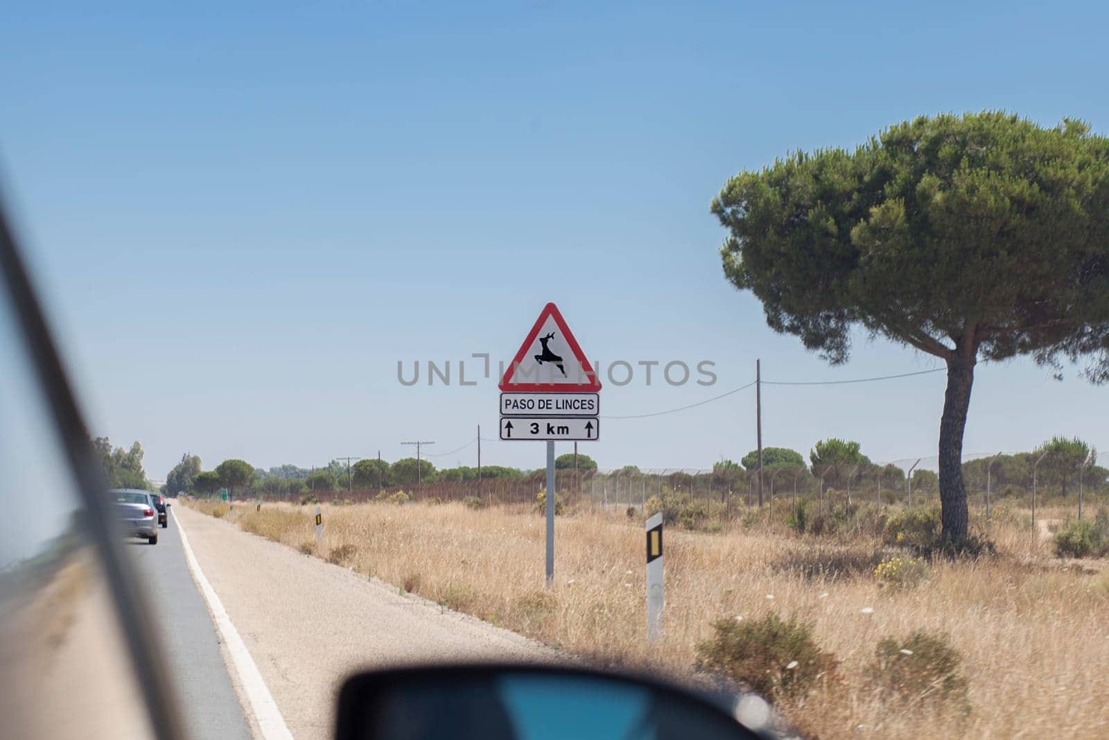 Metal pole with traffic signal warning iberian lynx crossing. Road–kills are considered a chief cause of death in the Iberian lynx