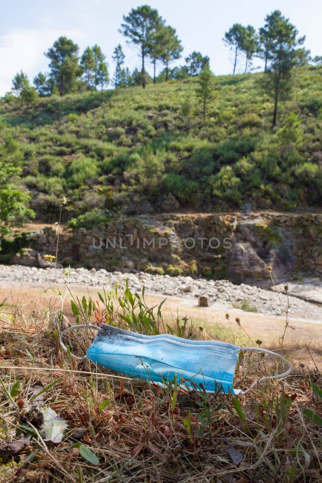 Surgical face mask threw out close to mountain river. Environmental pollution in nature concept