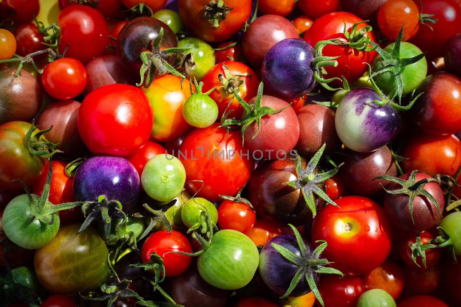 Various colorful organic cherry tomatoes, Top view