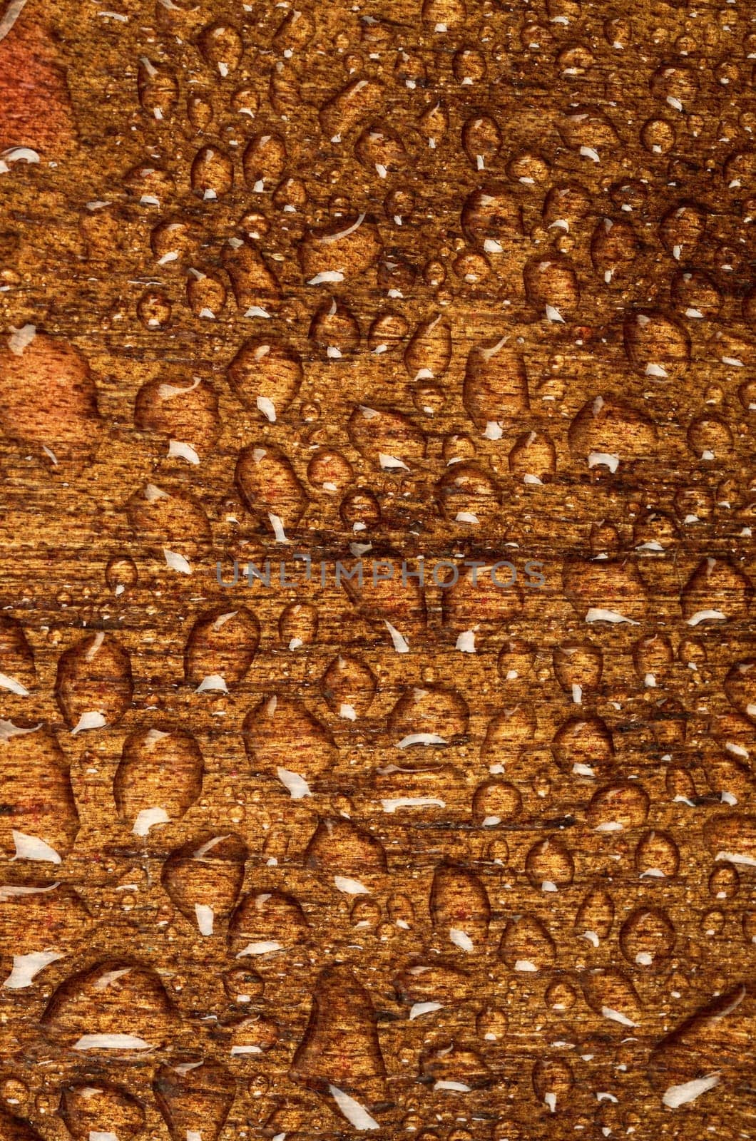 Water drops on wood texture background