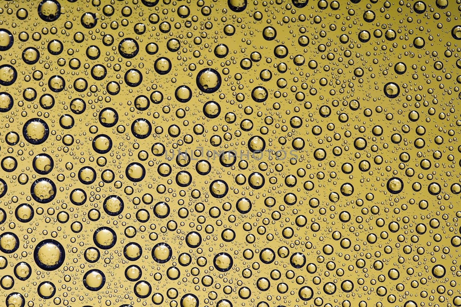 Water drops on glass window