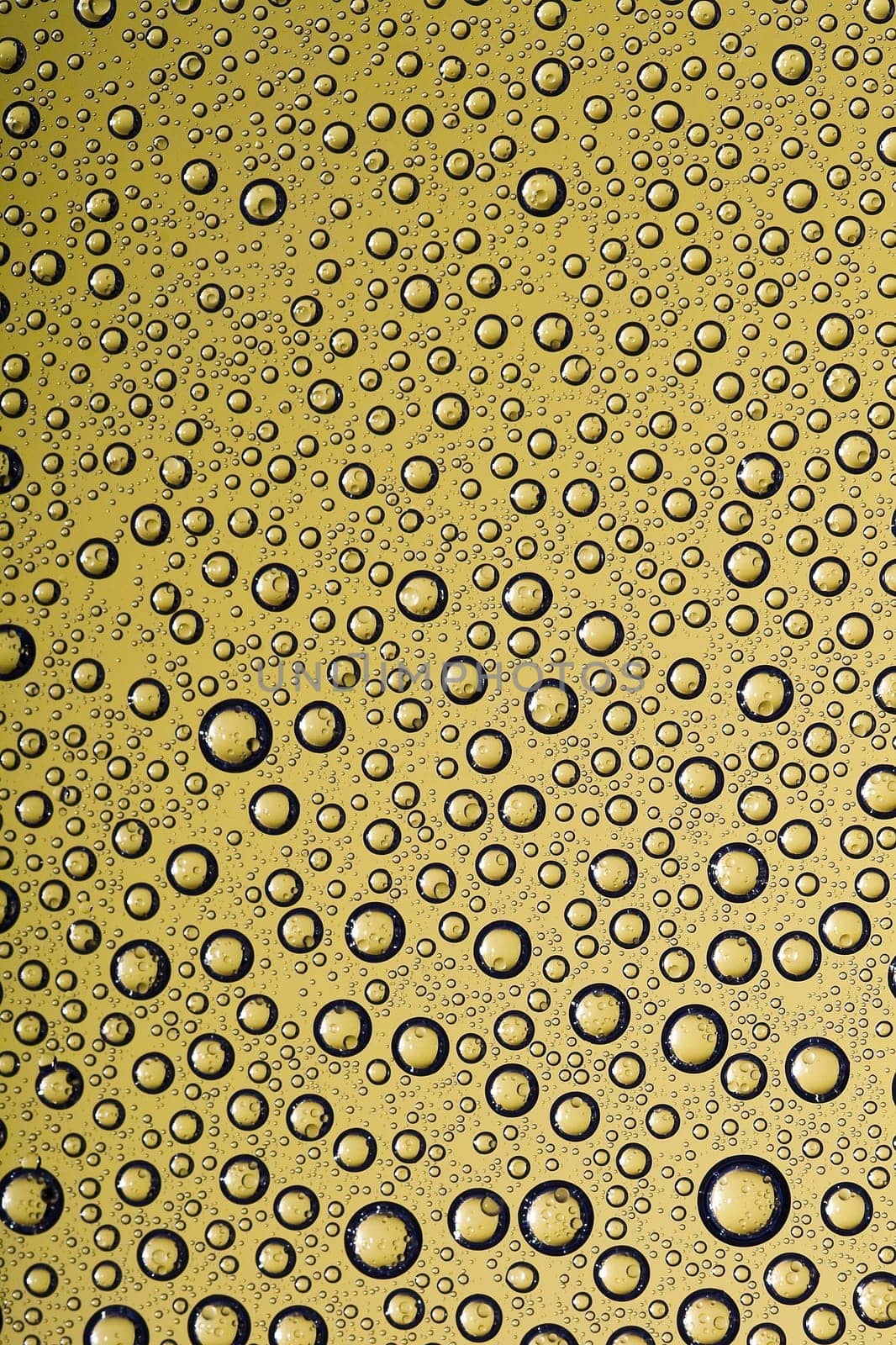 Water drops on glass window