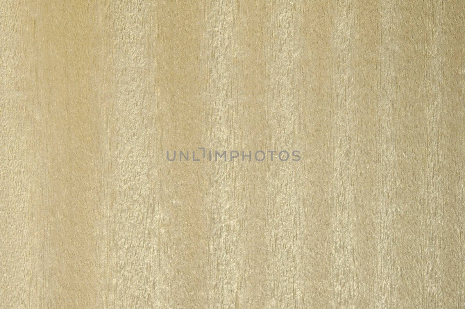 a wood rustic exclusive texture