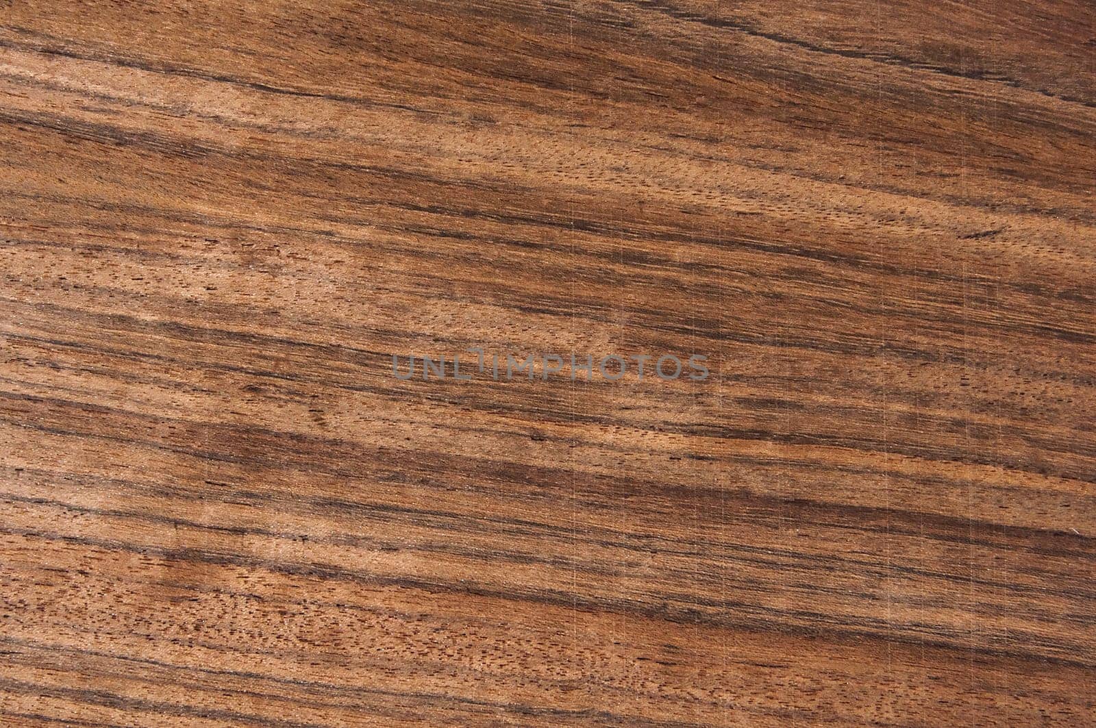 a wood rustic exclusive texture