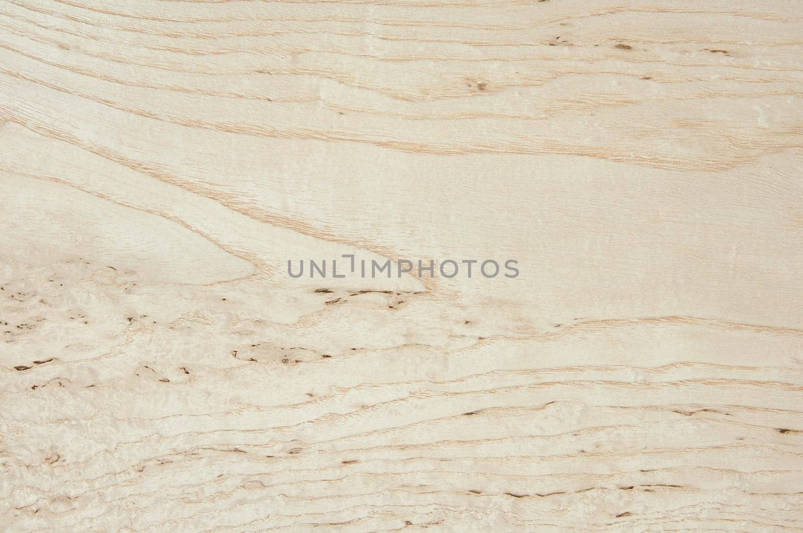 a wood rustic exclusive texture