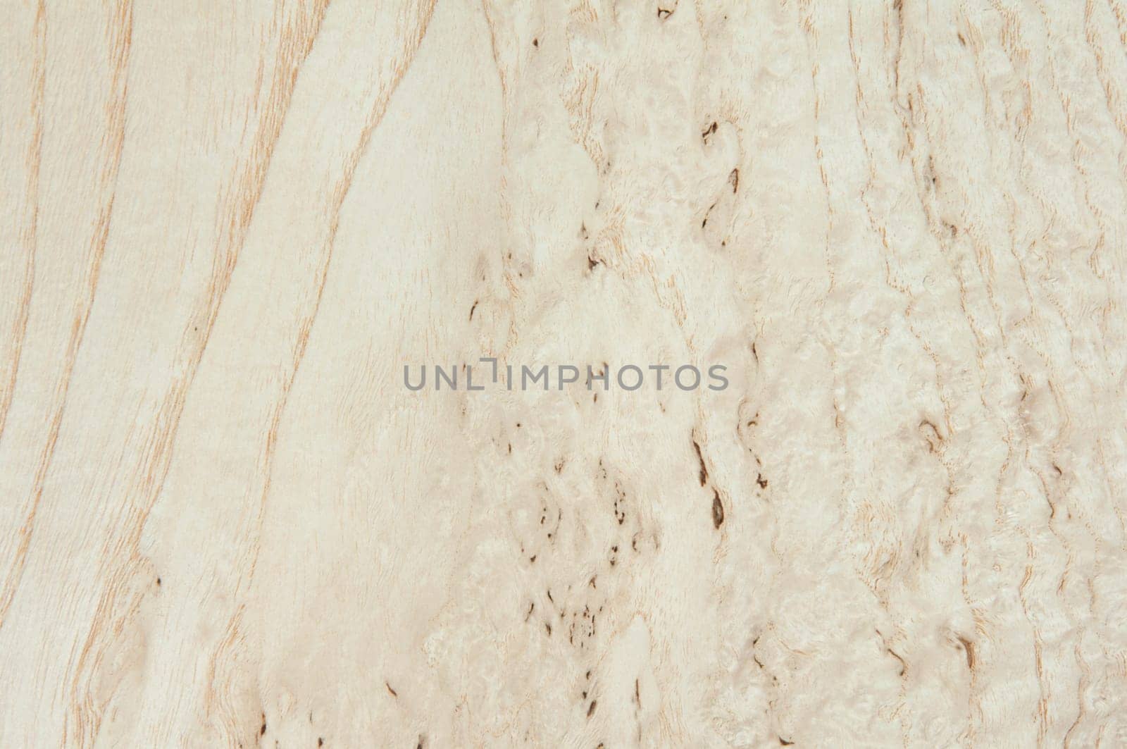 a wood rustic exclusive texture
