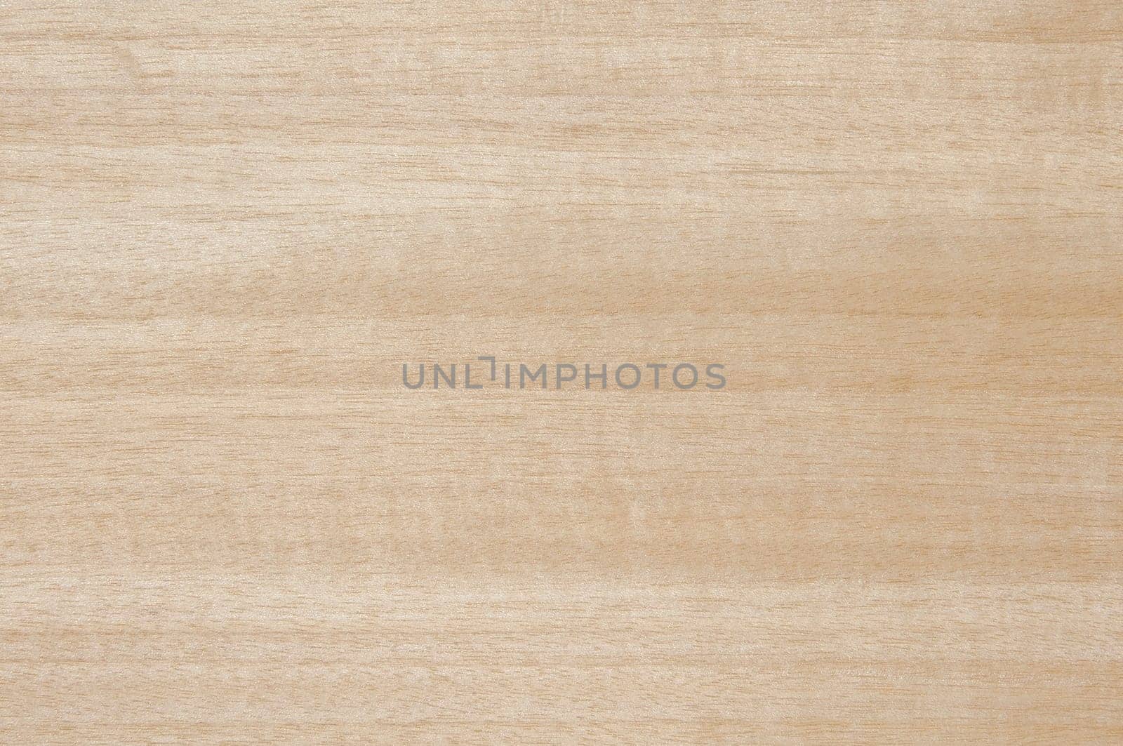 a wood rustic exclusive texture