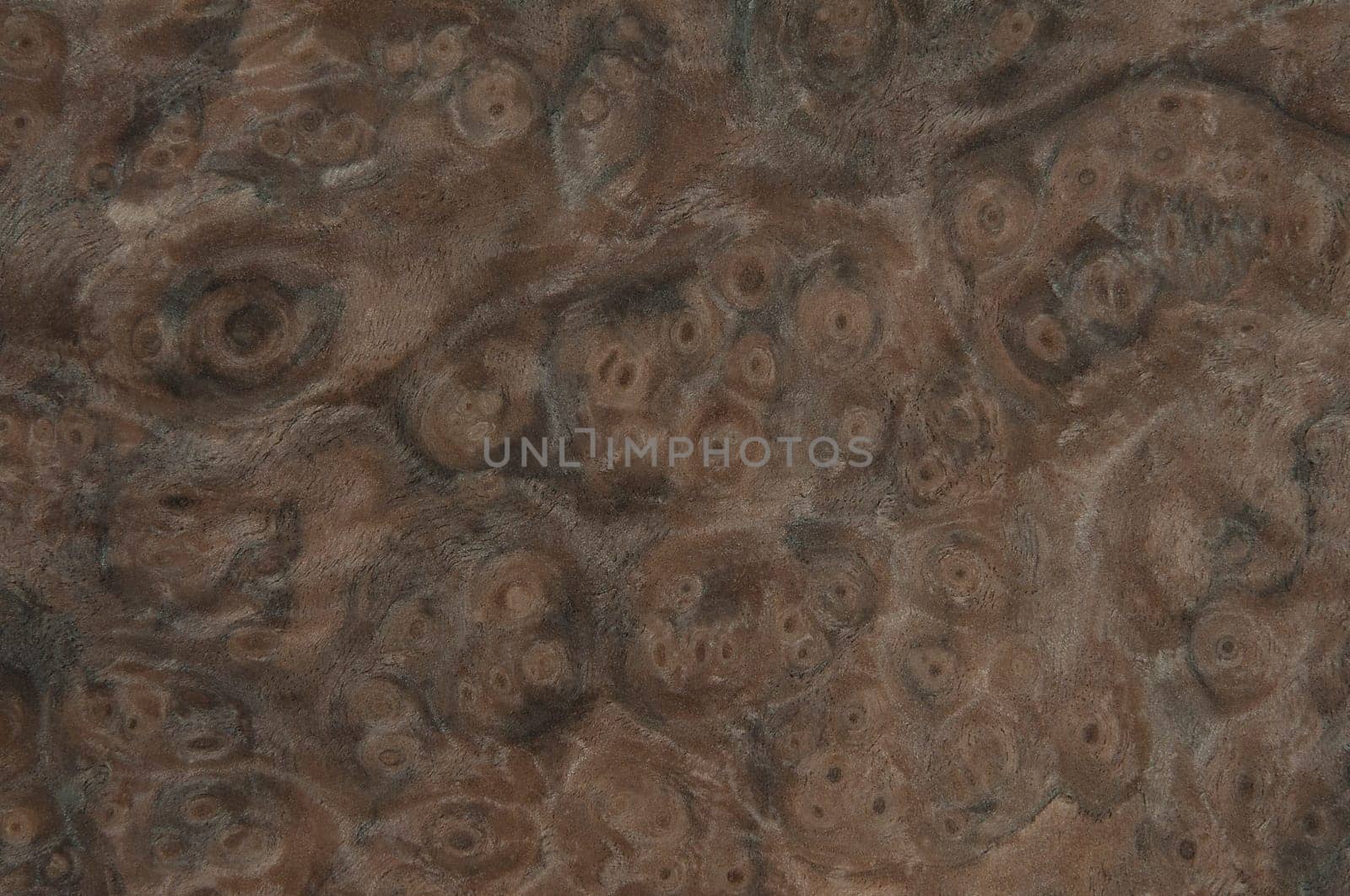 a wood rustic exclusive texture