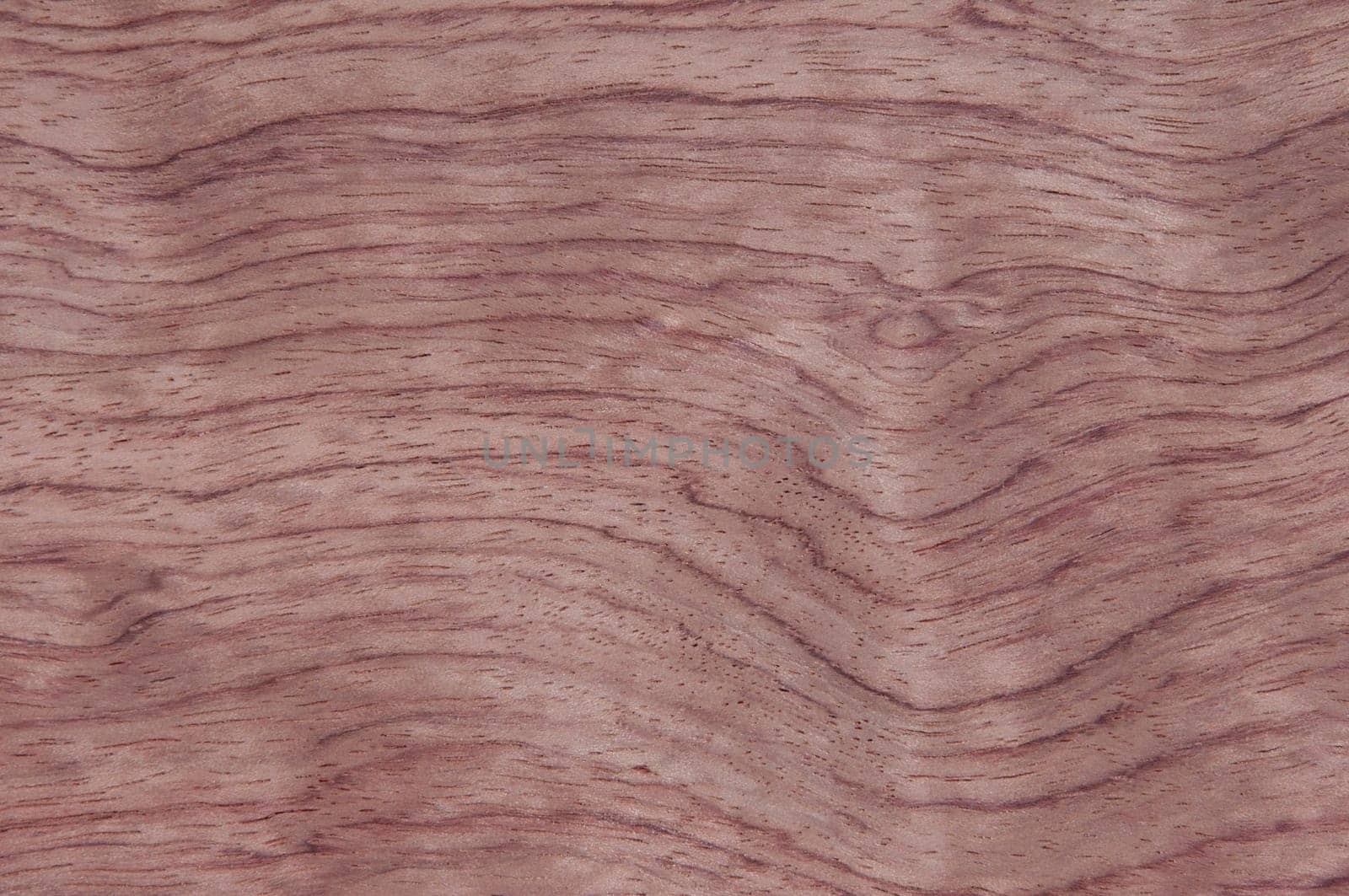 a wood rustic exclusive texture