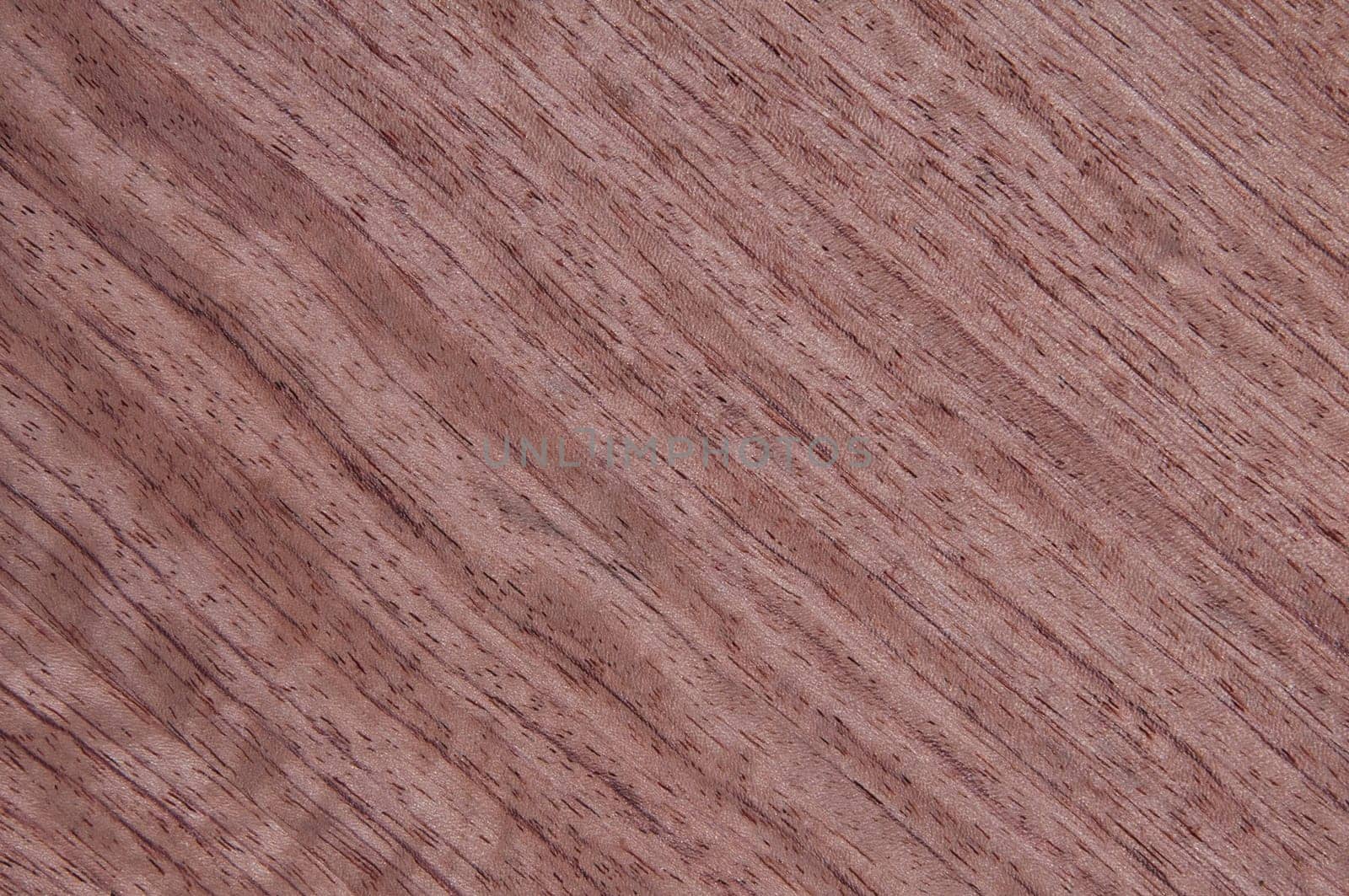 a wood rustic exclusive texture