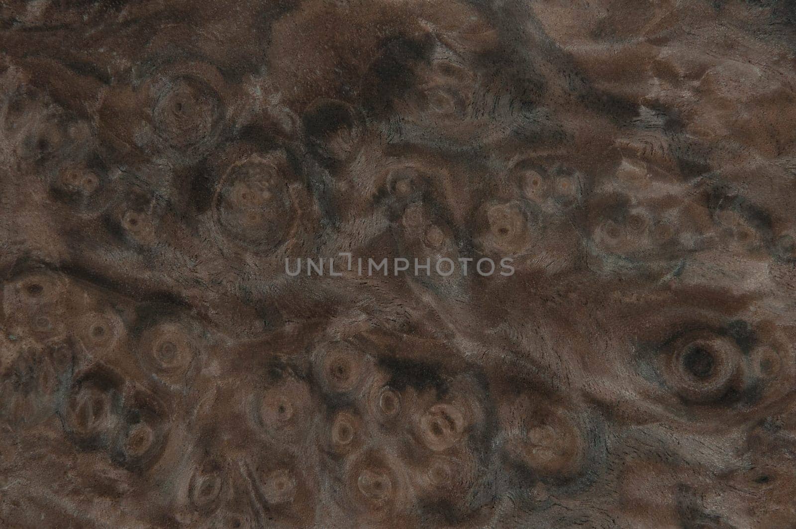 a wood rustic exclusive texture