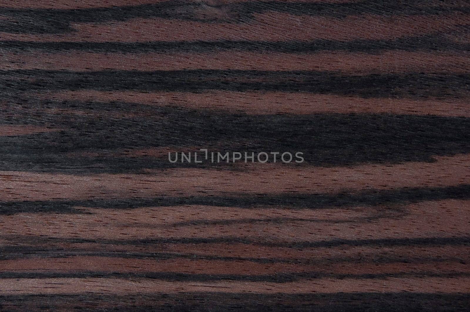 a wood rustic exclusive texture