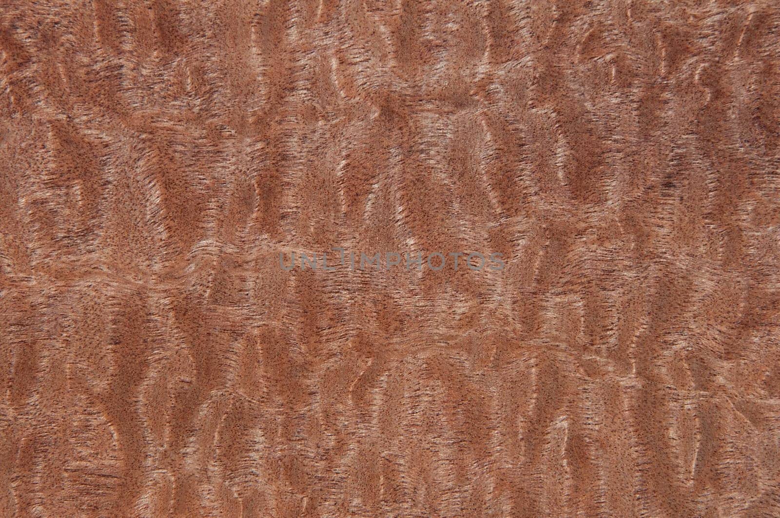 a wood rustic exclusive texture